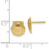 14K Yellow Gold Scallop Shell Button Earrings - Polished Finish, 9mm by 0