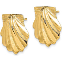14K Yellow Gold Scallop Shell Button Earrings - Polished Finish by 0