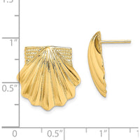 14K Yellow Gold Scallop Shell Button Earrings - Polished Finish by 0