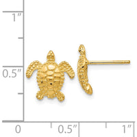 14K Yellow Gold Sea Turtle Post Earrings - 11mm by 0