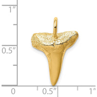 14K Yellow Gold Shark Tooth Pendant - Polished Textured Design by Oro Pregiato