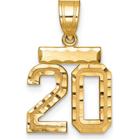14K Yellow Gold Small Brushed Diamond-Cut Number 20 Charm by 0