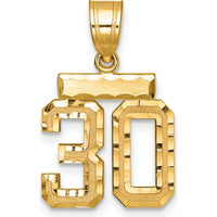 14K Yellow Gold Small Brushed Diamond-Cut Number 30 Pendant Charm by 0
