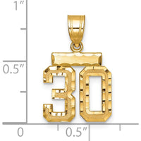 14K Yellow Gold Small Brushed Diamond-Cut Number 30 Pendant Charm by 0