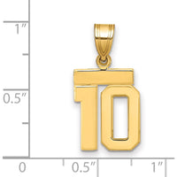14K Yellow Gold Small Polished Number 10 Charm Pendant by 0