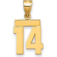 14K Yellow Gold Small Polished Number 14 Charm by 0