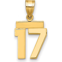 14K Yellow Gold Small Polished Number 17 Charm Pendant by 0