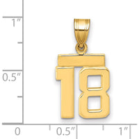 14K Yellow Gold Small Polished Number 18 Charm by 0