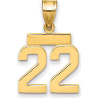 14K Yellow Gold Small Polished Number 22 Charm by 0
