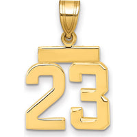 14K Yellow Gold Small Polished Number 23 Charm - Minimalist Pendant by 0
