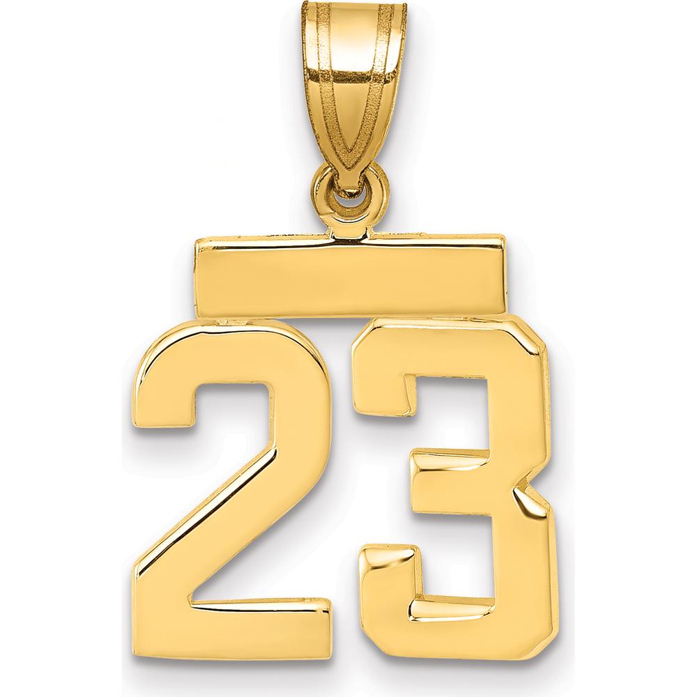 14K Yellow Gold Small Polished Number 23 Charm - Minimalist Pendant by 0