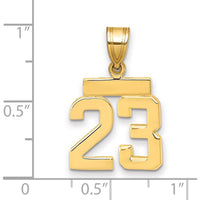 14K Yellow Gold Small Polished Number 23 Charm - Minimalist Pendant by 0