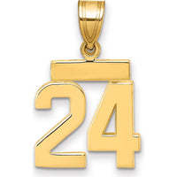 14K Yellow Gold Small Polished Number 24 Pendant Charm by 0