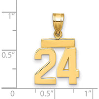 14K Yellow Gold Small Polished Number 24 Pendant Charm by 0