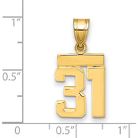 14K Yellow Gold Small Polished Number 31 Pendant Charm by 0