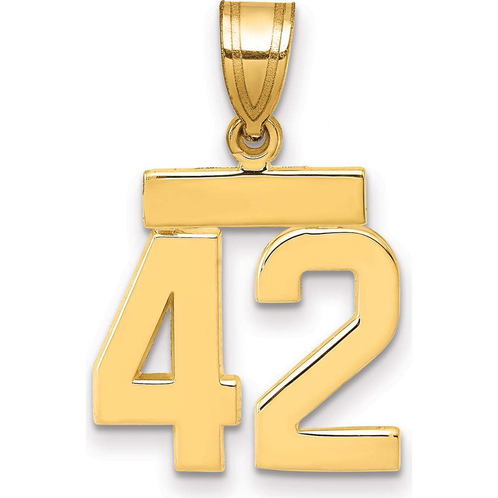 14K Yellow Gold Small Polished Number 42 Charm Pendant by 0