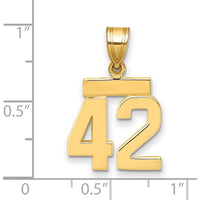 14K Yellow Gold Small Polished Number 42 Charm Pendant by 0