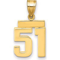14K Yellow Gold Small Polished Number 51 Charm by 0