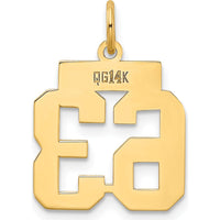 14K Yellow Gold Small Polished Number 63 Charm by Oro Pregiato