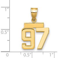 14K Yellow Gold Small Polished Number 97 Charm Pendant by 0