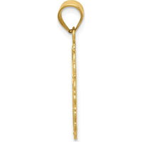 14K Yellow Gold Solid Satin Polished Aries Zodiac Oval Pendant with Textured Detail and Satin Back by Oro Pregiato