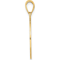 14K Yellow Gold St. George Island Dolphin Circle Pendant by Oro Pregiato