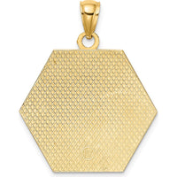14K Yellow Gold Textured Back Caduceus Medical Disc Pendant - 21.7mm Length by Oro Pregiato