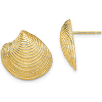 14K Yellow Gold Textured Clam Shell Button Post Earrings by 0