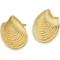 14K Yellow Gold Textured Clam Shell Button Post Earrings by 0