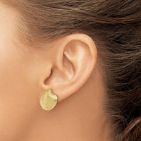 14K Yellow Gold Textured Clam Shell Button Post Earrings by 0