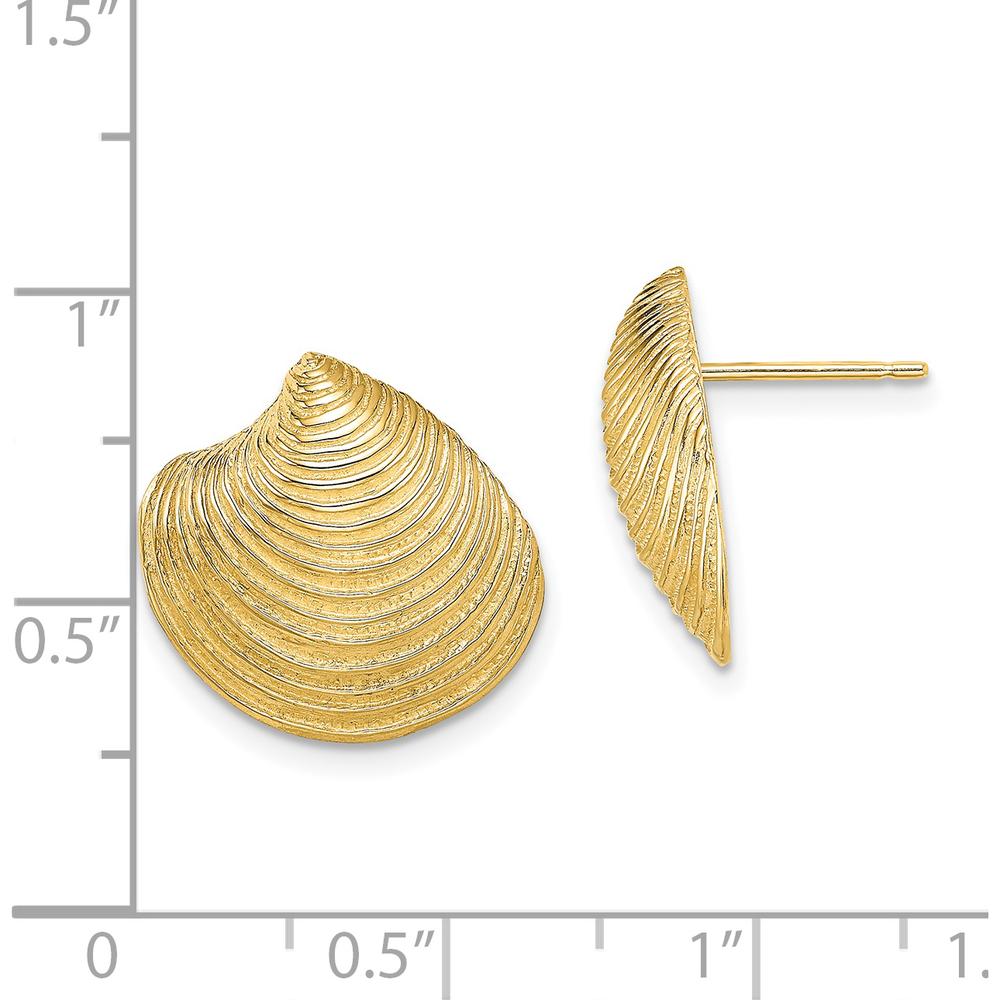 14K Yellow Gold Textured Clam Shell Button Post Earrings by 0