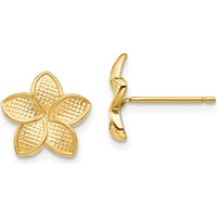 14K Yellow Gold Textured Plumeria Flower Stud Earrings by 0