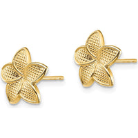 14K Yellow Gold Textured Plumeria Flower Stud Earrings by 0