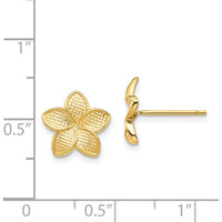 14K Yellow Gold Textured Plumeria Flower Stud Earrings by 0