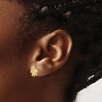14K Yellow Gold Textured Sea Turtle Post Earrings - Polished Finish by 0
