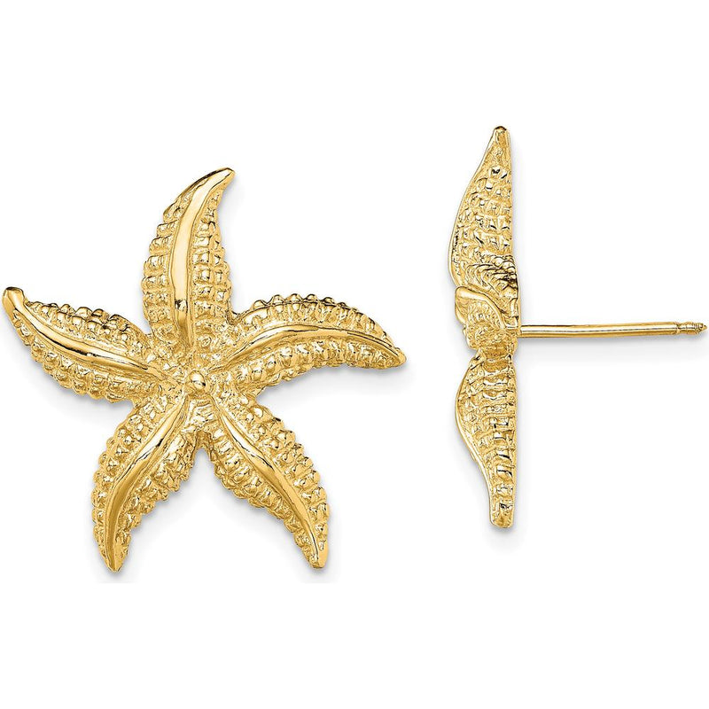 14K Yellow Gold Textured Starfish Post Earrings - Elegant Beach-Inspired Design by 0