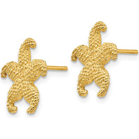14K Yellow Gold Textured Starfish Post Earrings by 0