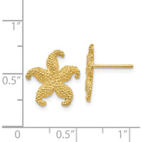 14K Yellow Gold Textured Starfish Post Earrings by 0