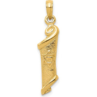 14K Yellow Gold Textured Torah Scroll Pendant with Star of David by Oro Pregiato