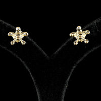 18K Yellow Gold Starfish Stud Earrings with Flush Set Lab-Grown Round Diamonds - 0.03 Carat Total Diamond Weight - Covaloro Fine Jewelry