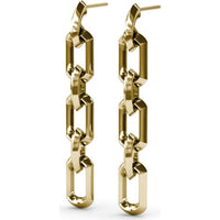 Lynq Linear Chain Link Drop Earrings by Fana