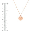 Olas d'Oro - 14K Rose Gold Aries Organic Disc Pendant Necklace with Ram Symbol Engraving