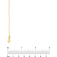 Olas d'Oro - 14K Yellow Gold 2.5mm Piatto Chain Necklace 18" in Solid Gold