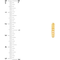 Olas d'Oro - 14K Yellow Gold 20mm Rope Textured Round Hoop Earrings 2.49 Grams Average Weight