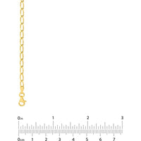 Olas d'Oro - 14K Yellow Gold 3.00mm Long Link Curb Chain Necklace - 24" - 8.58 Grams