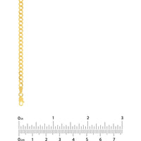 Olas d'Oro - 14K Yellow Gold 3.7mm Curb Chain Bracelet with Lobster Clasp - 8 Inches