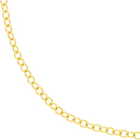Olas d'Oro - 14K Yellow Gold Hollow Rounded Link Chain Bracelet - 7.50"