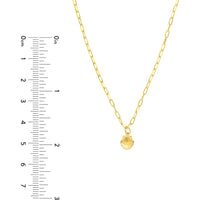 Olas d'Oro - 14K Yellow Gold Mini Seashell Paper Clip Necklace with Spring Ring Closure - 1.93g