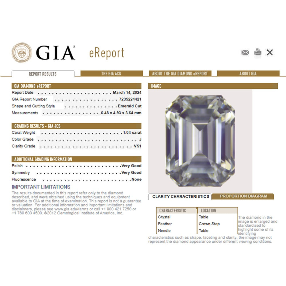 Platinum 1.04 Carat Emerald-Cut Engagement Ring with Baguette and Round Diamond Double Halo - 1.76 Carat Total Diamond Weight