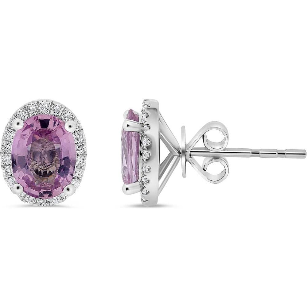 Roman & Jules - 14K White Gold Stud Earrings with Halo Set Oval Pink Sapphire - 2.80 Carat Total Gem Weight